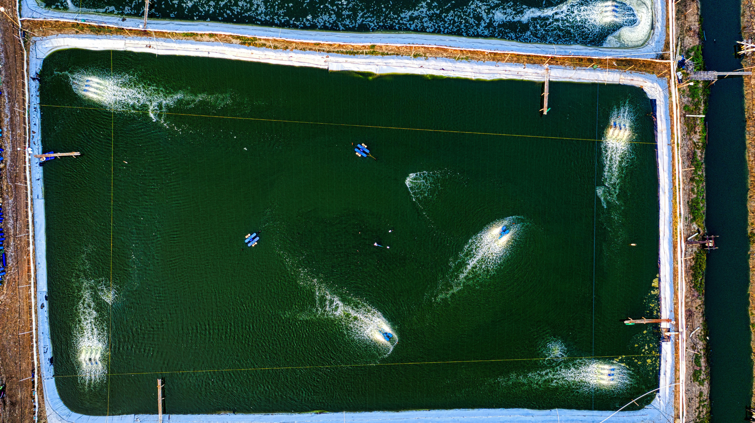 Jaulas de acuicultura de Dibaq en el mar, donde se cultivan peces de forma sostenible, con prácticas que respetan el ecosistema marino y promueven el bienestar animal.