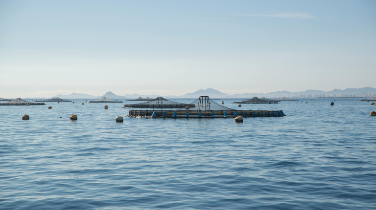 Vista aérea de una instalación de acuicultura continental con tanques circulares para la cría de truchas, el sector líder en valor dentro del mercado acuícola europeo según el informe EUMOFA 2025."