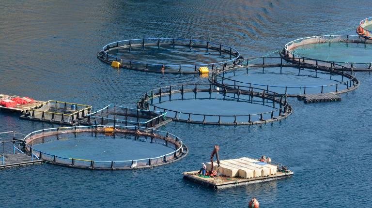 Fotografía en plano medio de una instalación de acuicultura con tanques de agua circulares y sistemas de oxigenación, donde se observa el movimiento del agua y el entorno natural circundante.